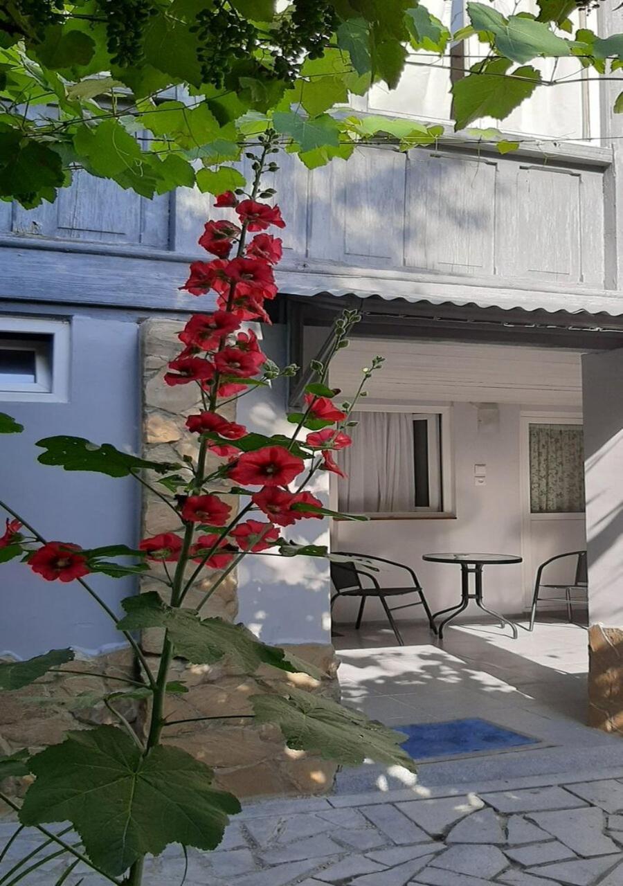 Beso-House Apartment Borjomi Bagian luar foto