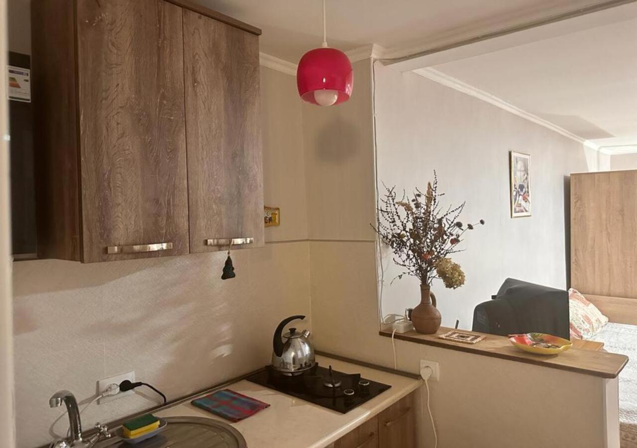 Beso-House Apartment Borjomi Bagian luar foto